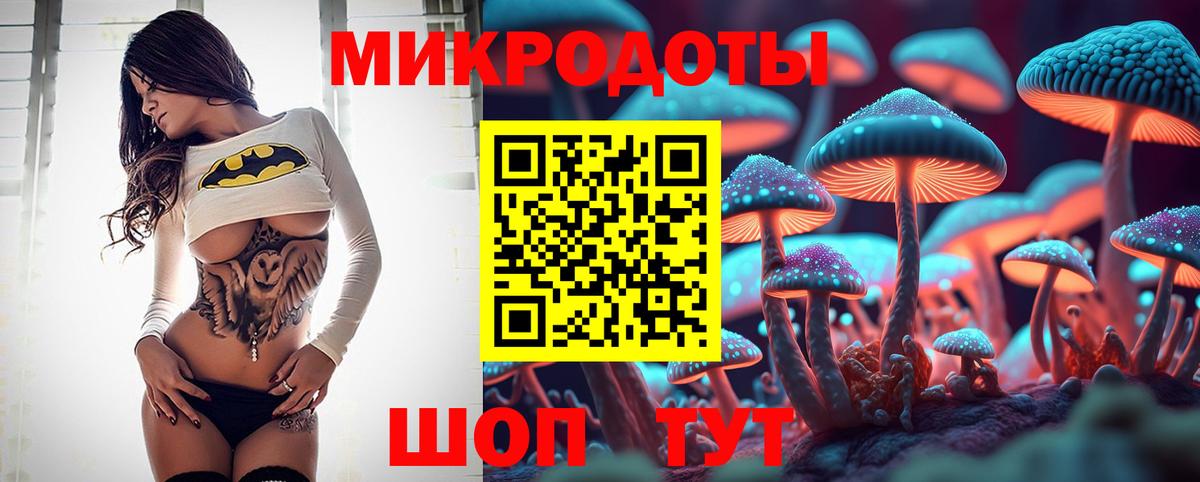 Саратов  Псилоцибиновые грибы Psilocybine cubensis  Галлюциногенные грибы Psilocybine cubensis  купить   Вход с VPN 